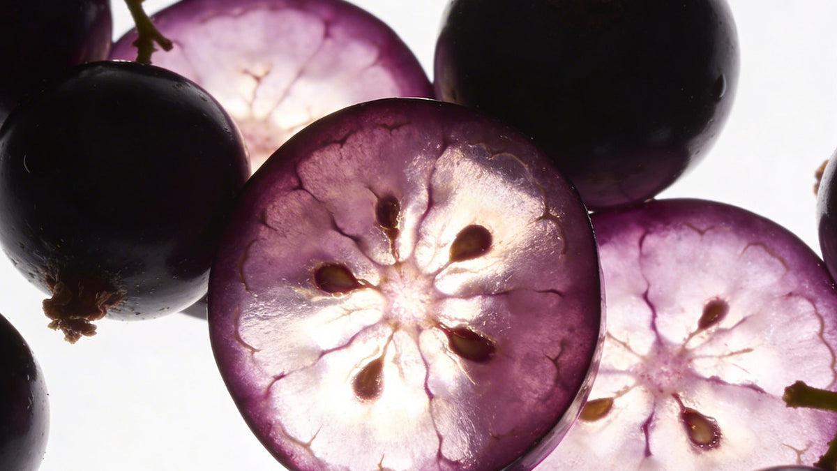 Vegetalement Provence