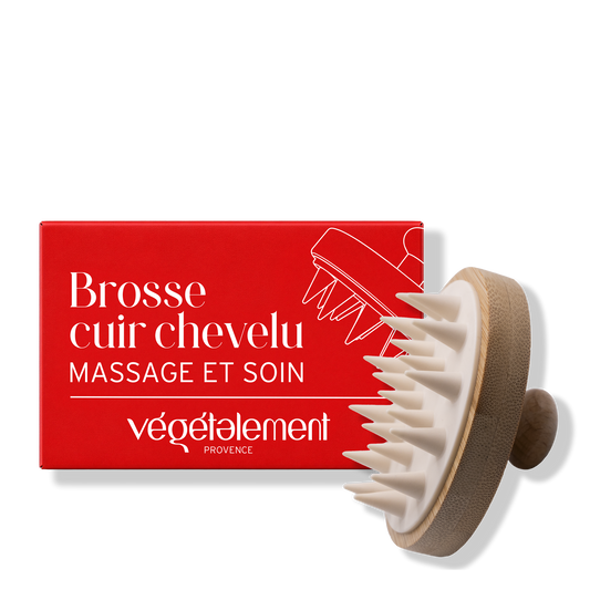 Brosse cuir chevelu